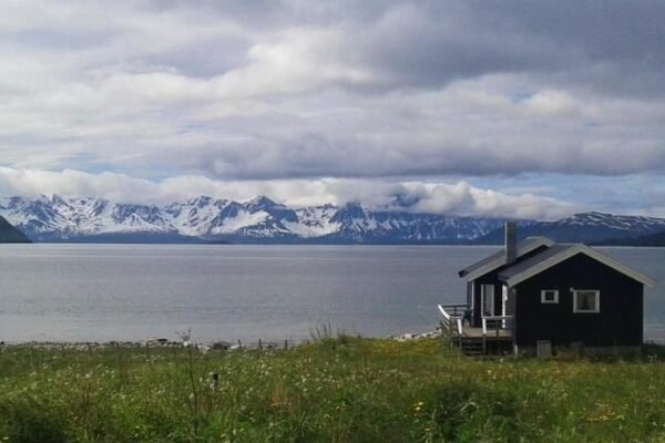 Arctic FjordCamp