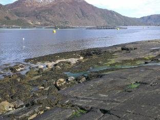 person holiday home in Halsanaustan