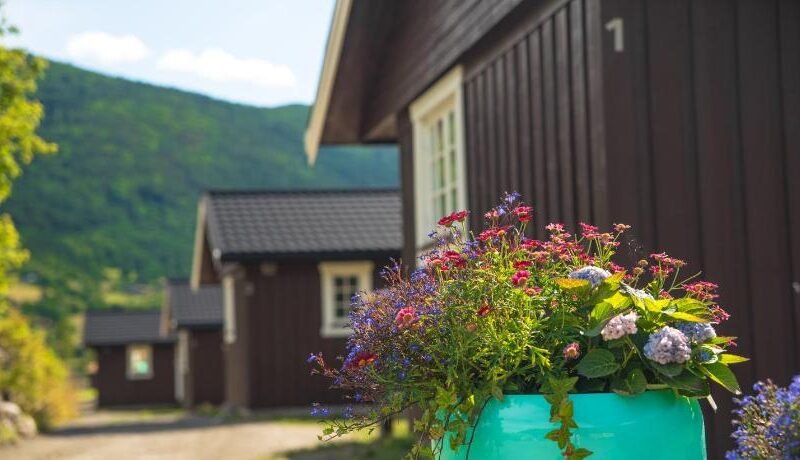 Vagavatnet Feriesenter