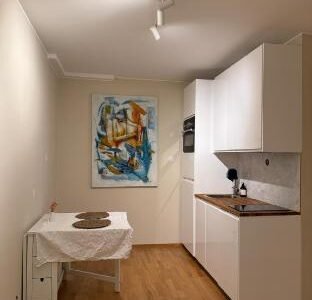 PP1b-Central-Cosy studio flat Suits globetrotters