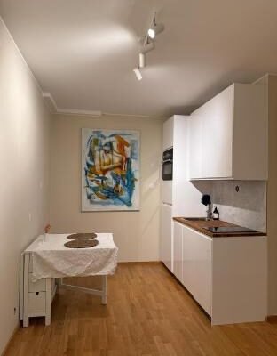 PP1b-Central-Cosy studio flat Suits globetrotters