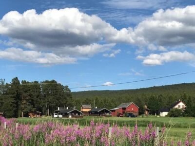Roste Hyttetun og Camping