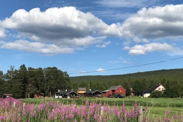 Roste Hyttetun og Camping