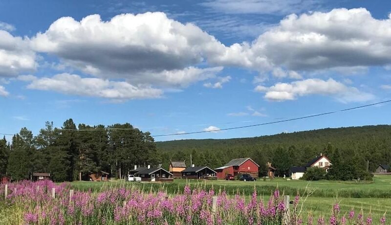 Roste Hyttetun og Camping