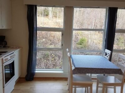 Seljord Apartment