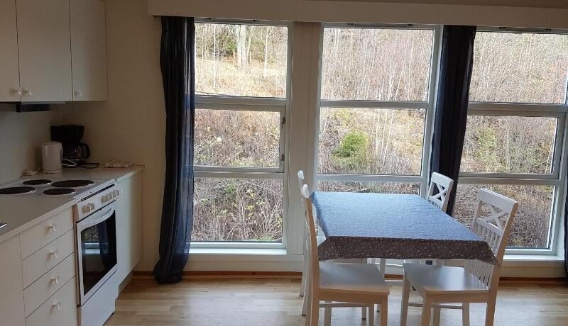 Seljord Apartment