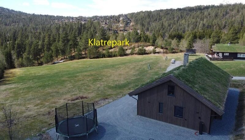 Hytte i Stryn med elbil lader