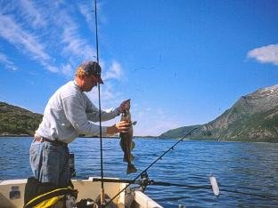 person holiday home in Naustbukta-By Traum