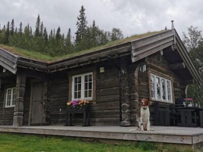 Liaplassen Mountain View