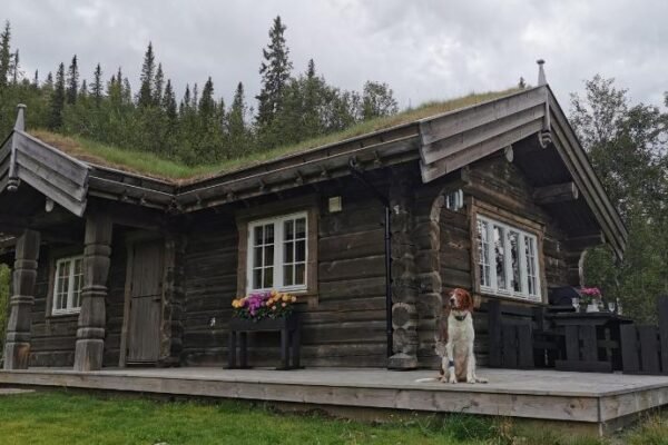 Liaplassen Mountain View