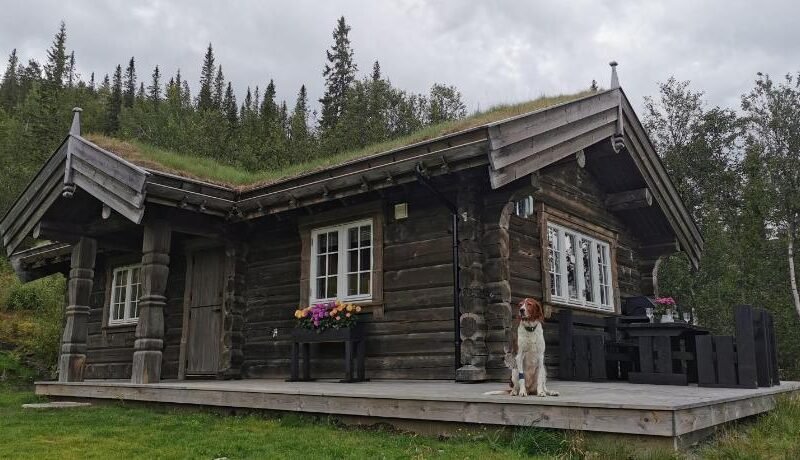 Liaplassen Mountain View