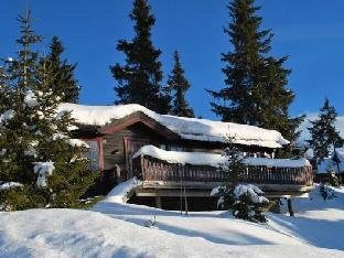 Nordseter Fjellpark, Hyttegrend