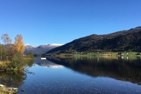 Voss- Oppheim suite private cozy cabin