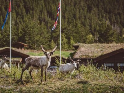 Saltdal Turistsenter