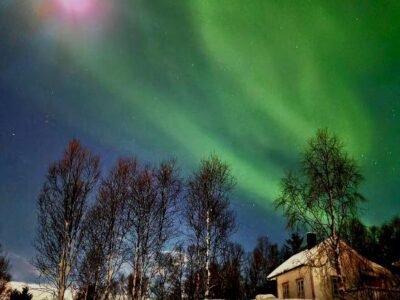 Cabin magic on Senja, atmosphere like a fairytale