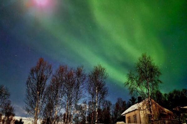 Cabin magic on Senja, atmosphere like a fairytale