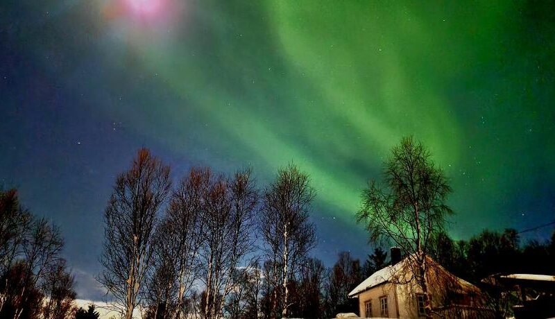 Cabin magic on Senja, atmosphere like a fairytale