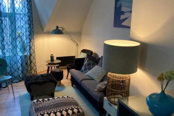 Downtown Historical House with Renovated apartments free P near