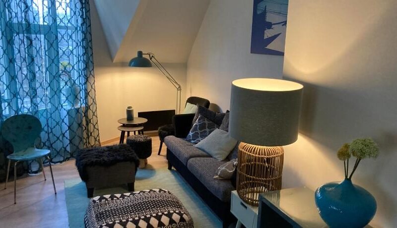 Downtown Historical House with Renovated apartments free P near