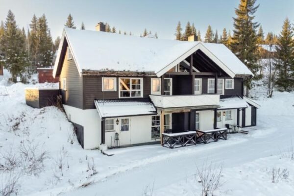 Nice apartment with Sauna and ski in out Trysil