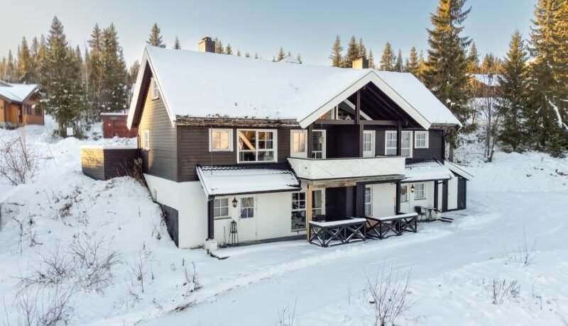 Nice apartment with Sauna and ski in out Trysil
