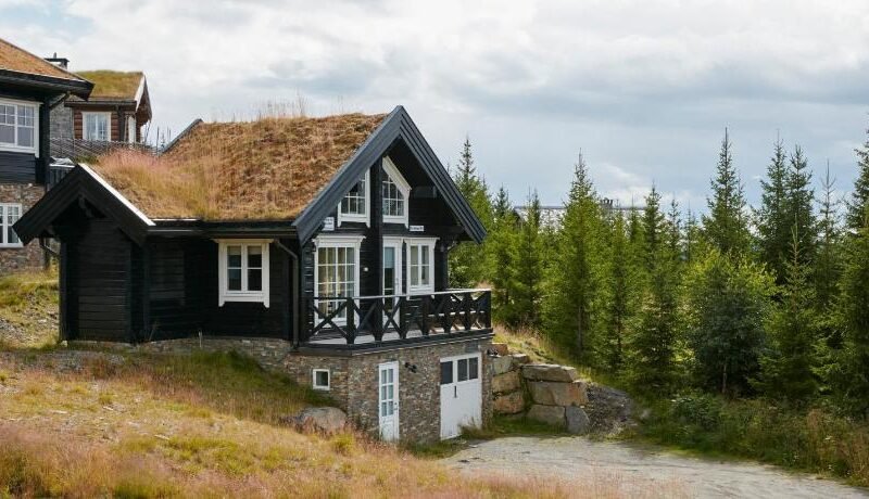 Mosetertoppen Panorama anneks 1B