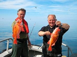 person holiday home in Oksvoll