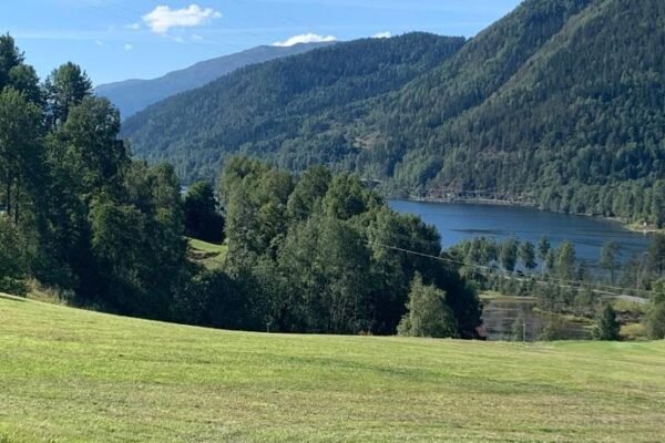 Feriehus med utsikt til fjord og fjell