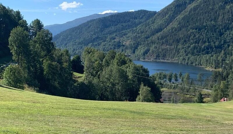 Feriehus med utsikt til fjord og fjell
