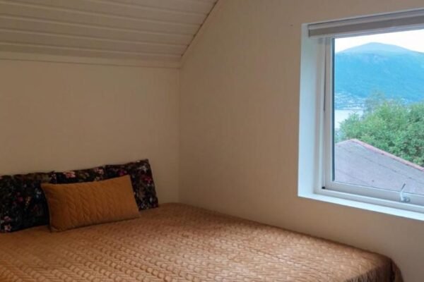 Olgas apartment