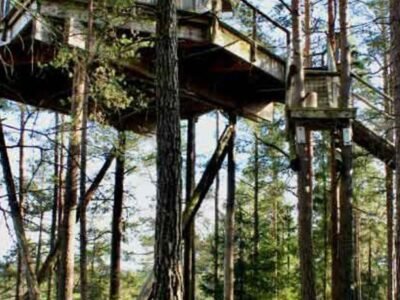 Tretopphytter Pa Grensen – Elghytta med robat og gjeddefiske