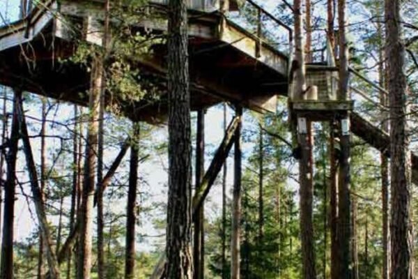 Tretopphytter Pa Grensen – Elghytta med robat og gjeddefiske