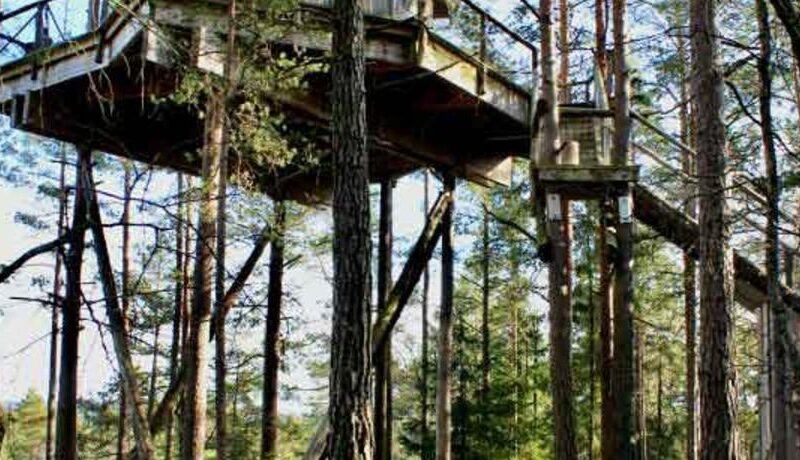 Tretopphytter Pa Grensen – Elghytta med robat og gjeddefiske