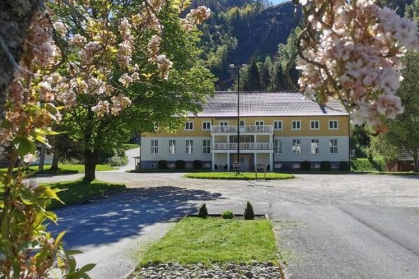 Kvastunet