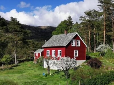 Alone In The Woods With Your Own River Nearby