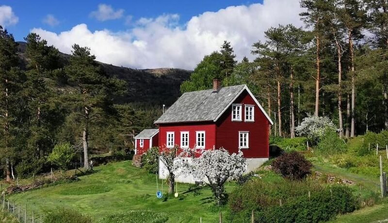 Alone In The Woods With Your Own River Nearby