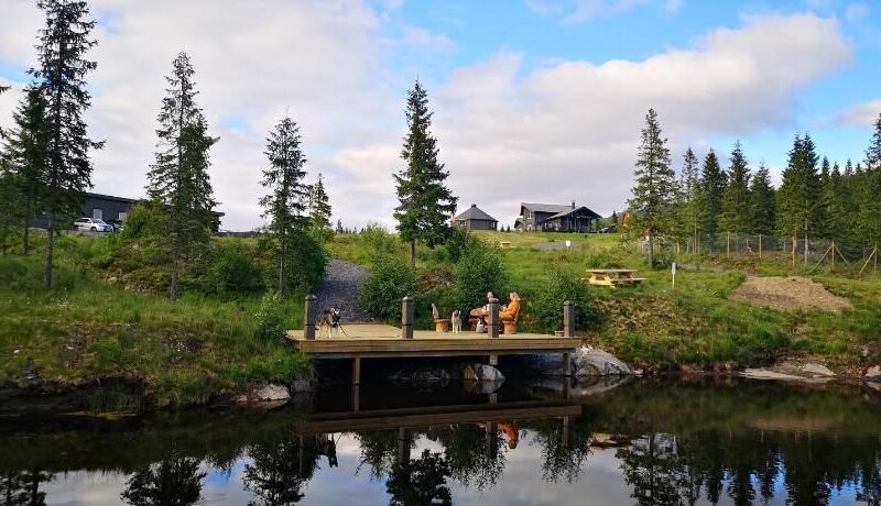 Blafjell hundesenter fjellhotell