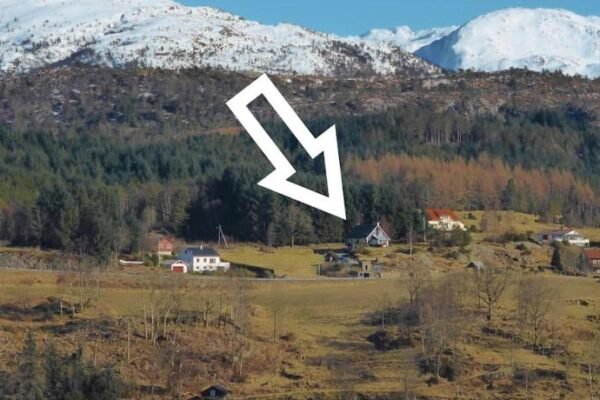 Small Basement Apartment Private Entrance Nice View