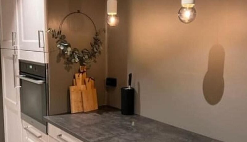 Skogro ved Norefjell