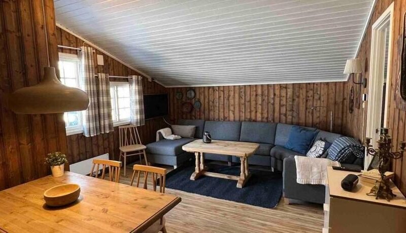 Koselig hytte med uteplas ved Hallingdalselva