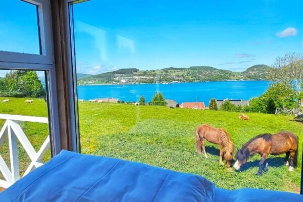 Lysefjorden – Gøysa Gard