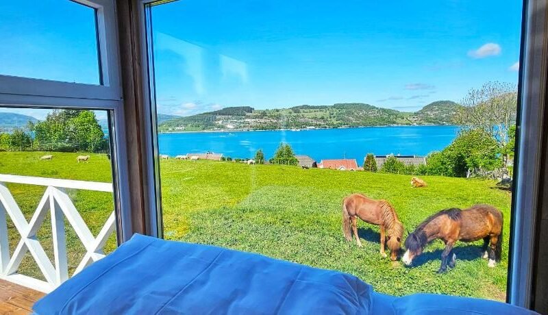 Lysefjorden – Gøysa Gard