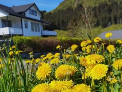 Banpim apartment with Jacusszi