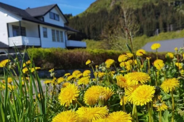 Banpim apartment with Jacusszi