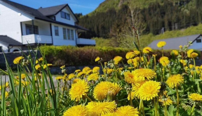 Banpim apartment with Jacusszi