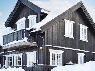 person holiday home in Rauland-By Traum