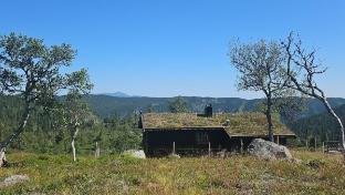 Magic View | Unspoiled nature | Summer pasture