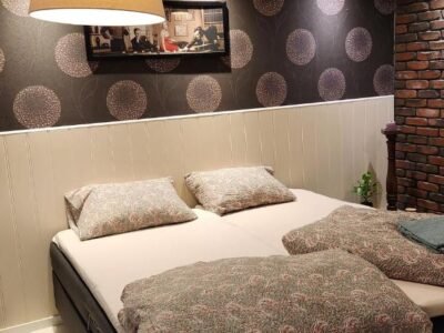 Full Privacy Townhome in Oslo with WIFI