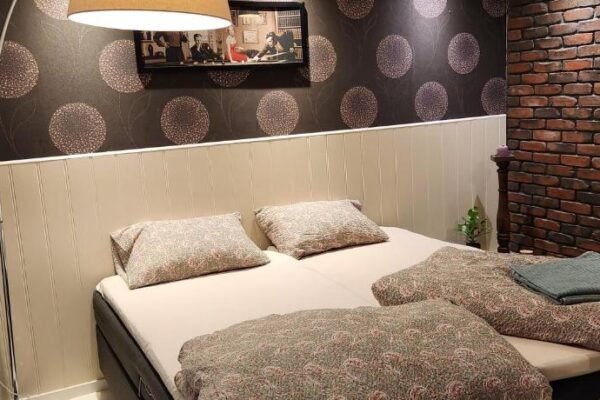 Full Privacy Townhome in Oslo with WIFI