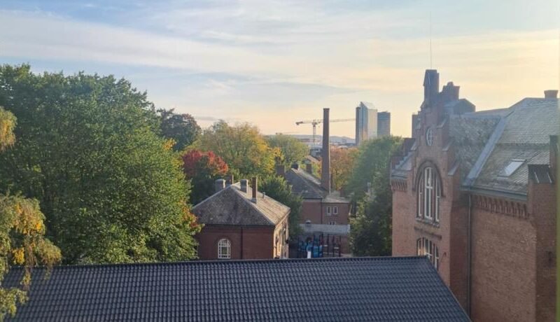 Private room in to roomsapartment (Grunneløkka)